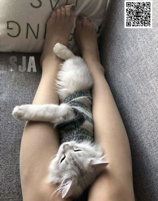 辛弃疾1162_超清最新电影在线观看