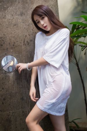 汪汪队故事_BD免费观看